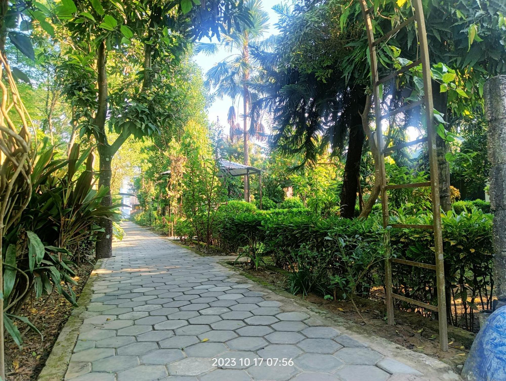Hotel Butterfly - Peaceful Garden For Nature Lovers Sauraha Exterior photo