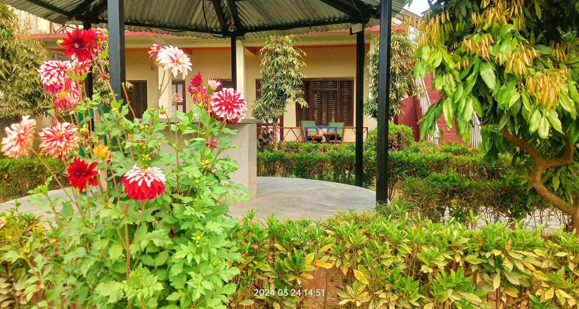 Hotel Butterfly - Peaceful Garden For Nature Lovers Sauraha Exterior photo