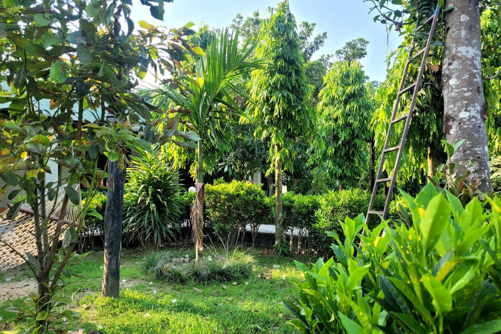 Hotel Butterfly - Peaceful Garden For Nature Lovers Sauraha Exterior photo